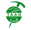 Taan